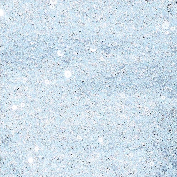 NWT HELLO MOLLY midi sequin skirt size XS - Picture 6 of 8